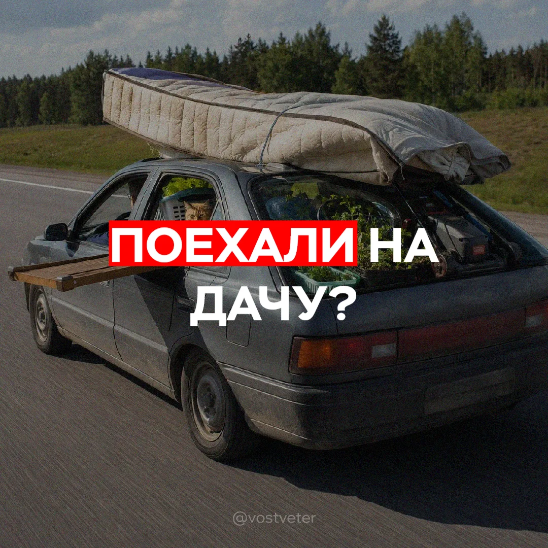 Каждую пятницу легковой автомобиль становится «Газелью»