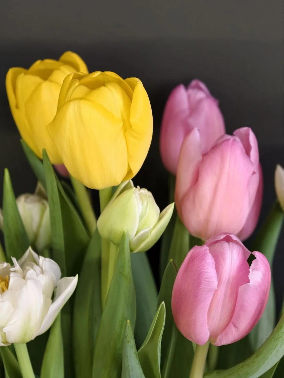 Дорогие девушки! 💐🌸