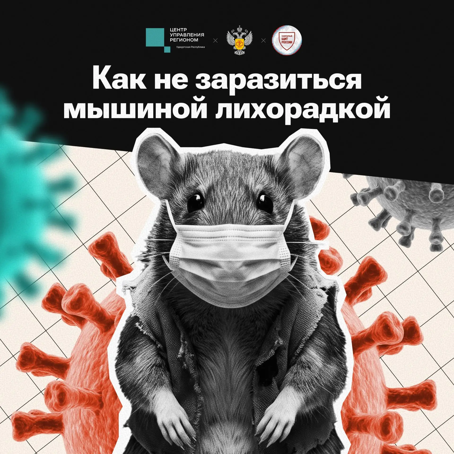 Лето — это счастье! Время рыбалки с друзьями и ароматных ягод прямо с куста 🎣 🍓 🍄‍🟫

Но среди вс