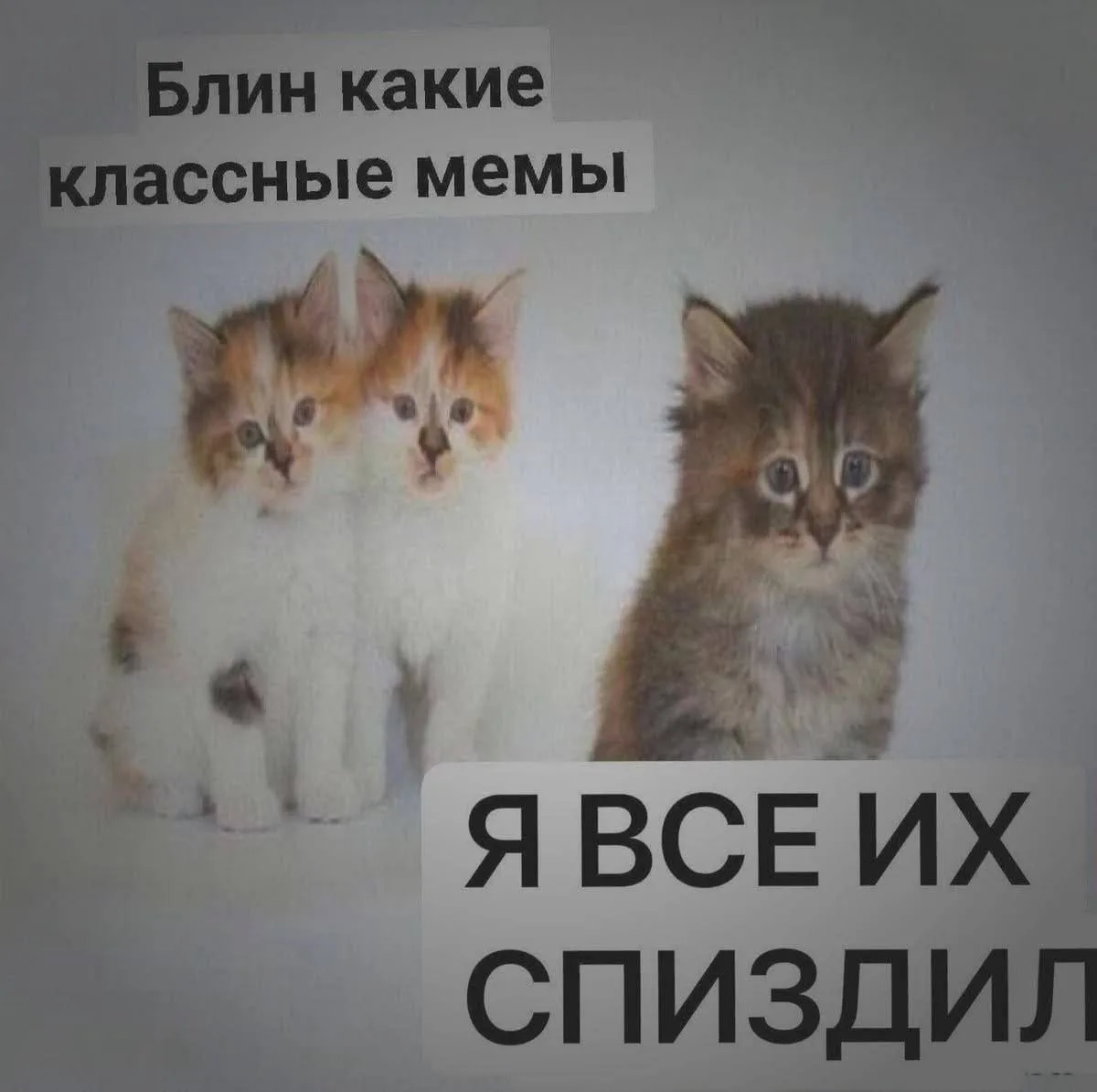 Простите