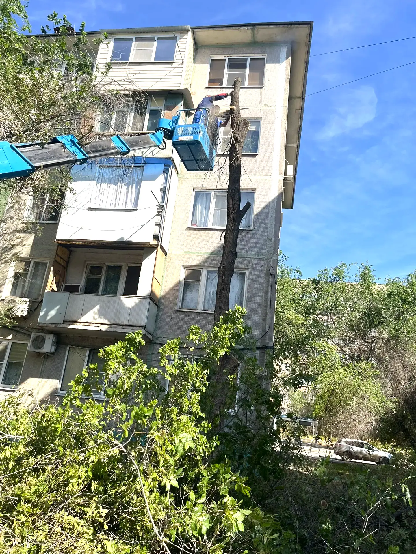 К новости «🌿 Забота о комфорте придомовой территории!»