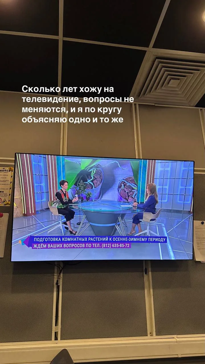 Как я сходила на телек сегодня и почему я из года в год продолжаю отвечать на одни и те...