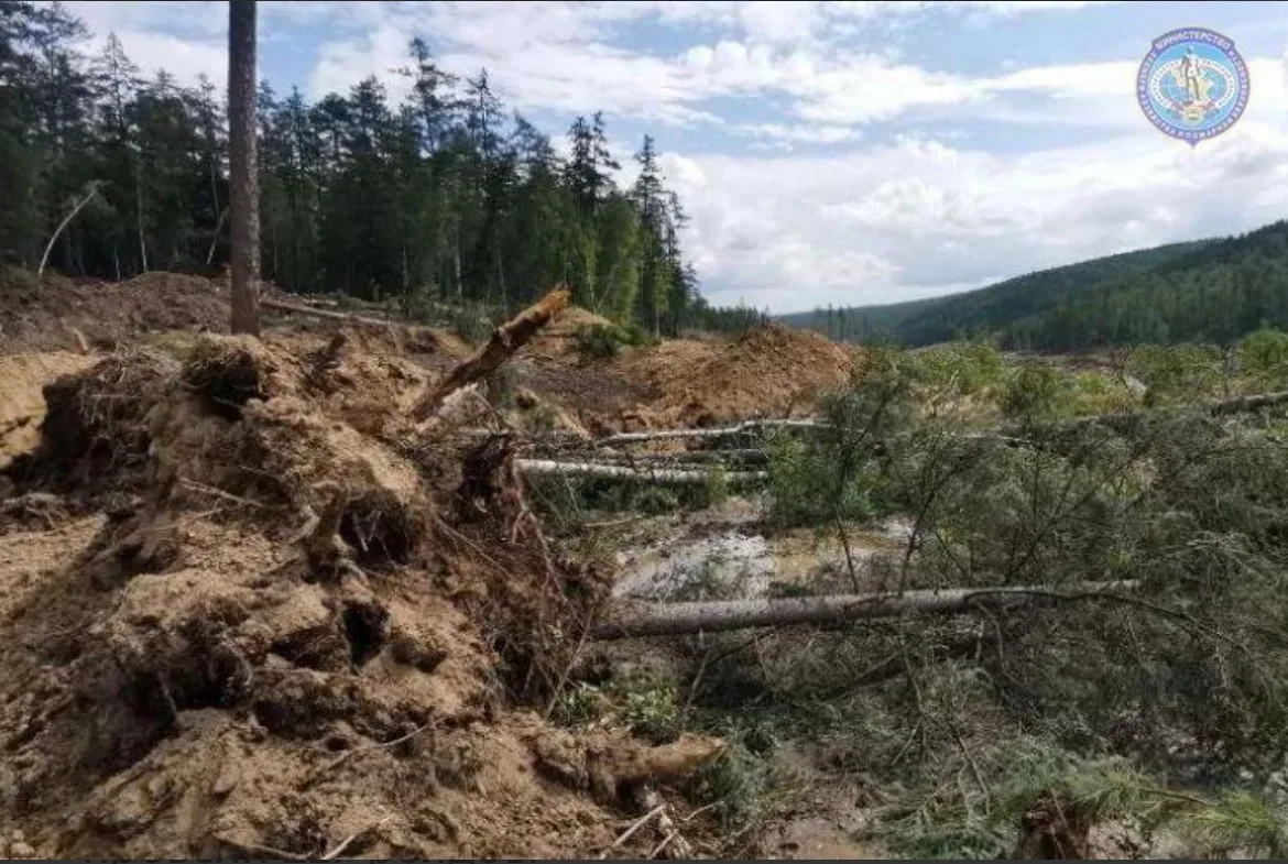🪚 В Приамурье за черными лесорубами следят со спутника