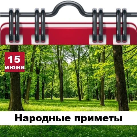 Народные приметы 15 июня

✅ Если ночью и утром тихая погода, значит, еще несколько дней будет тепло 