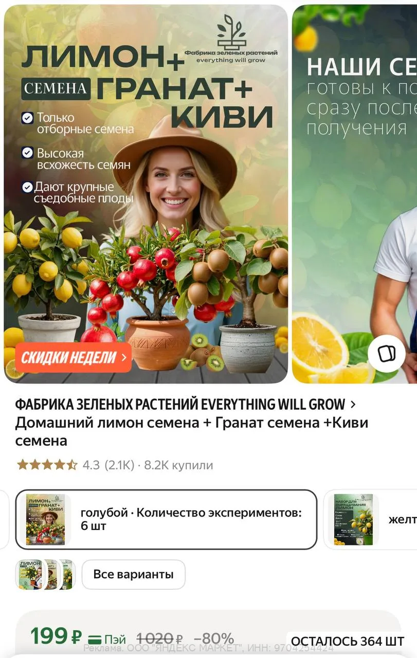Яндекс Маркет