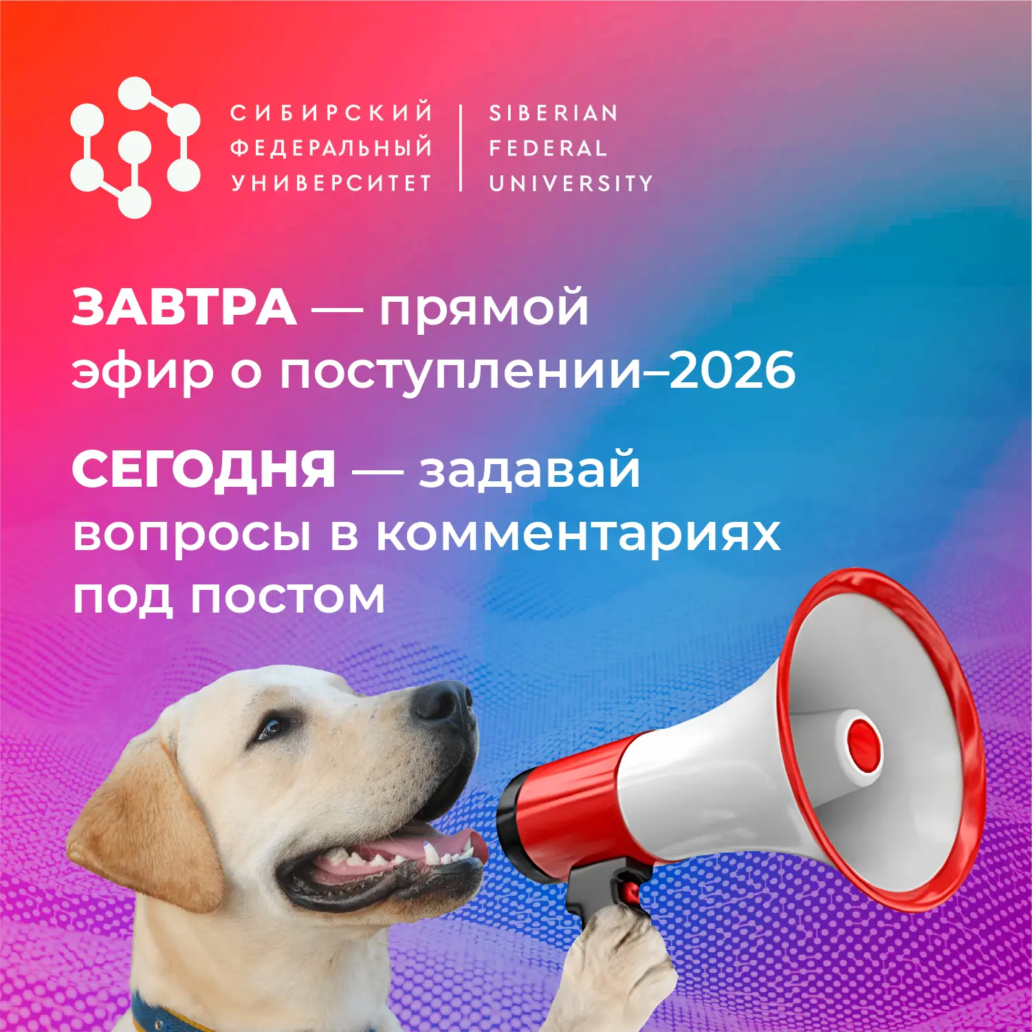 Мы хотим поговорить с тобой о важном — об особенностях приёма в 2026 году, конечно же 🙌🏼
