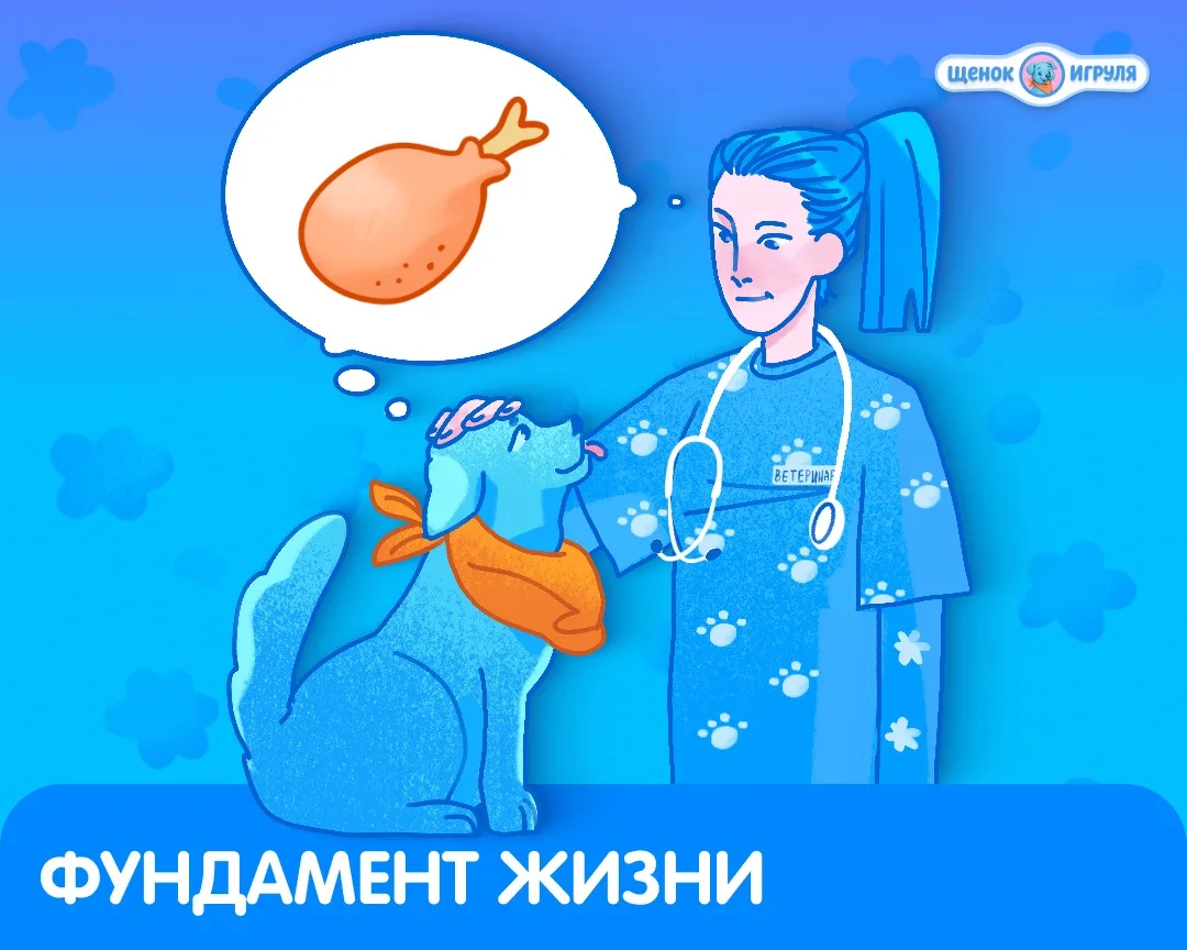 Фундамент жизни 💫

Или почему белок — главный герой в миске вашей собаки.

Качество белка опред