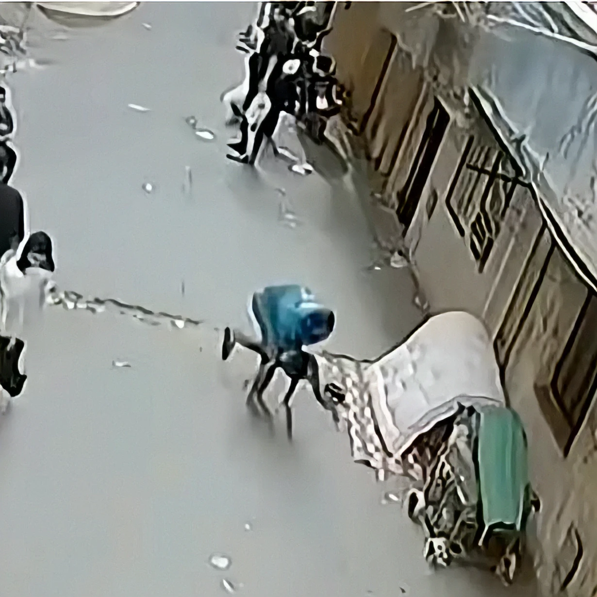 📰 Прохожий в Гизе поймал малыша, упавшего со второго этажа