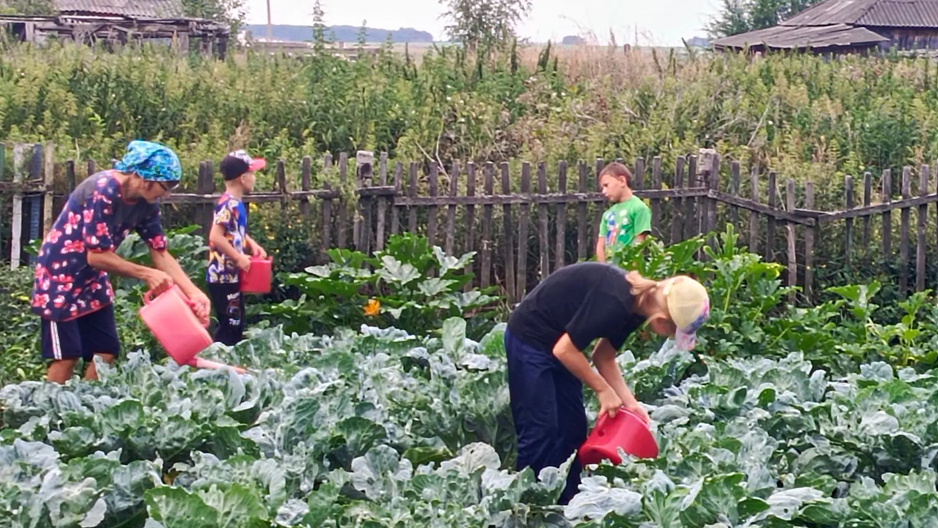 🌱👨‍🌾«Вот это поворот!» Или как 2-й класс МКОУ Ново-Никольской сош покорял грядки