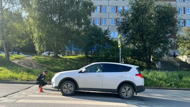 Этим утром на Емлина возле поликлиники водитель Toyota RAV4 сбила человека на «зебре». ...