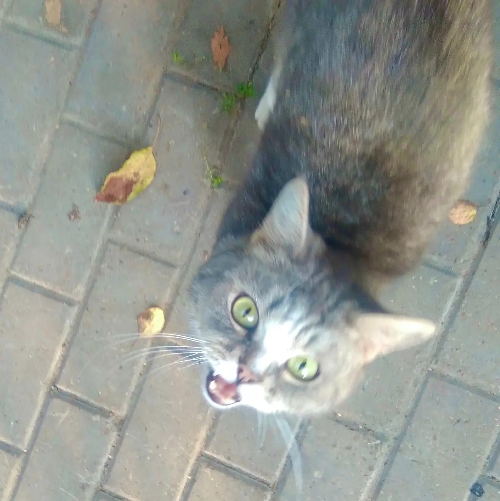 🐈‍⬛ так пока никто и не забрал.