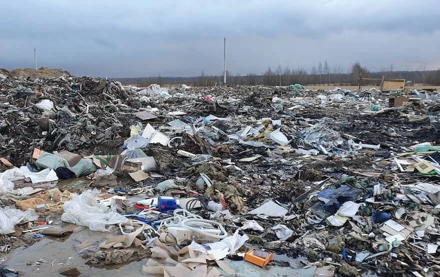 👮‍♂️Судебные приставы проследили за очисткой незаконных свалок в Острогожском районе  🧑‍⚖️По решению