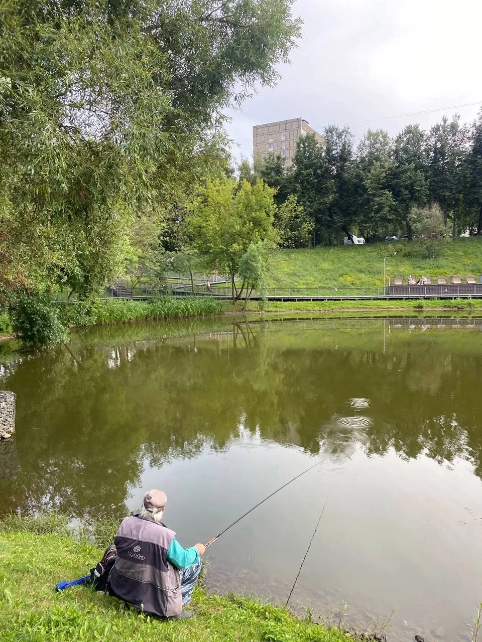 🎣 В самом разгаре 

📷 Britney Gonzales

Не забудь подписаться⤵️