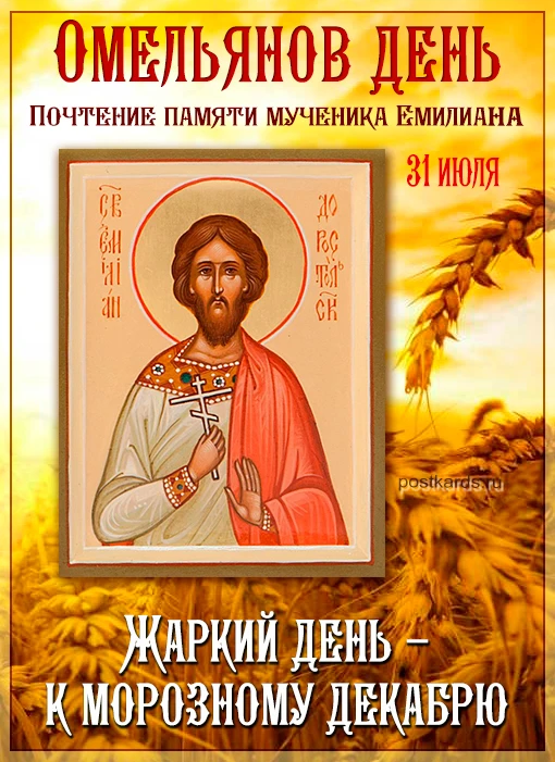 https://max.ru/invista123456