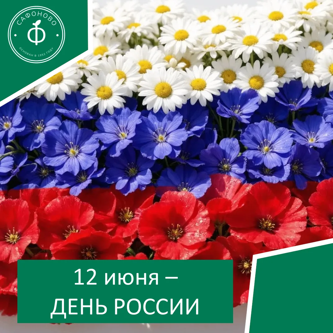Уважаемые сафоновцы!