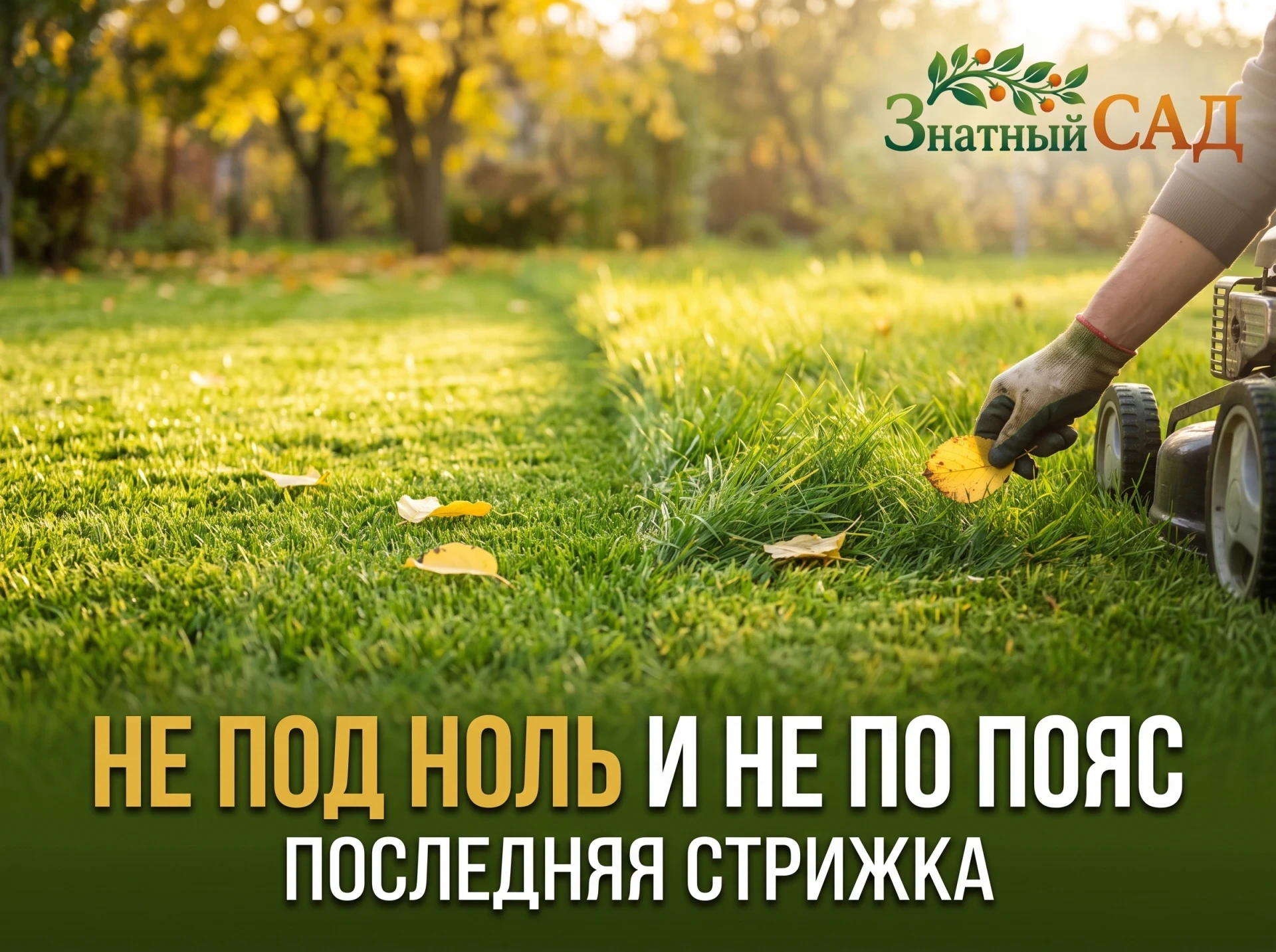 🌿 ПОСЛЕДНЯЯ СТРИЖКА ГАЗОНА РЕШАЕТ, КАКИМ ОН ВЫЙДЕТ ВЕСНОЙ