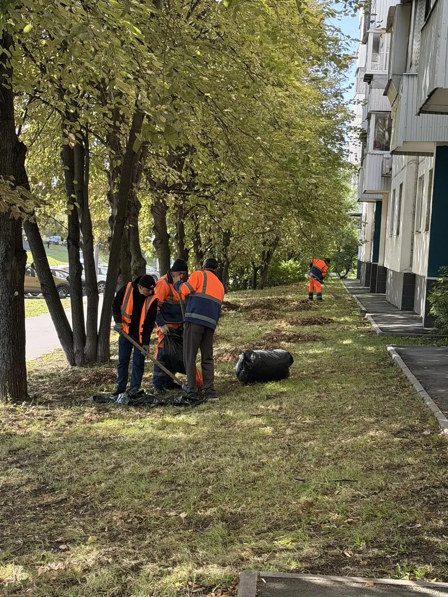 В выходные провели массовую уборку территории района Гольяново
