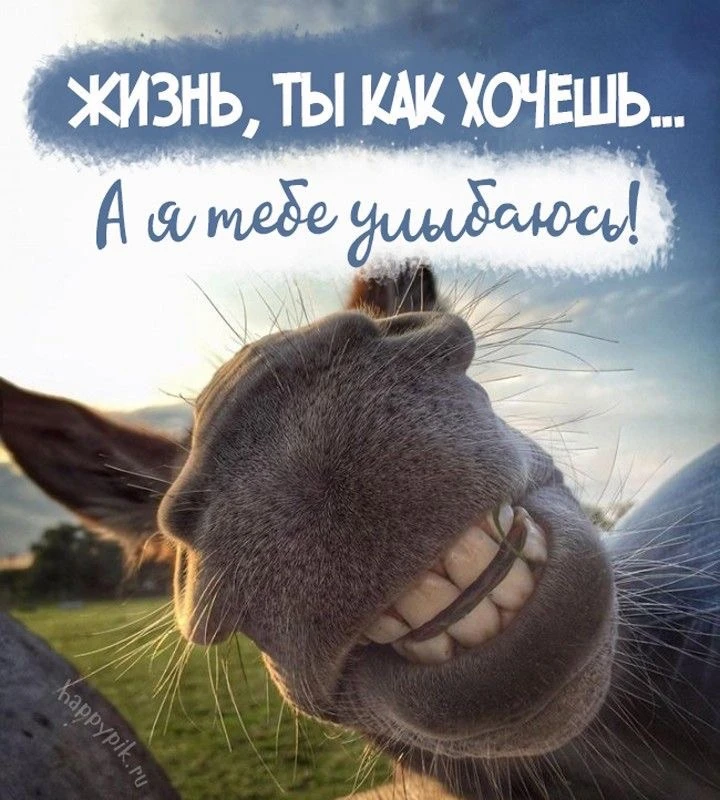 Сегодня 15 июня 2026 года, понедельник - отмечается 10 праздников 

🙂День силы улыбки
🌟Всемирный д