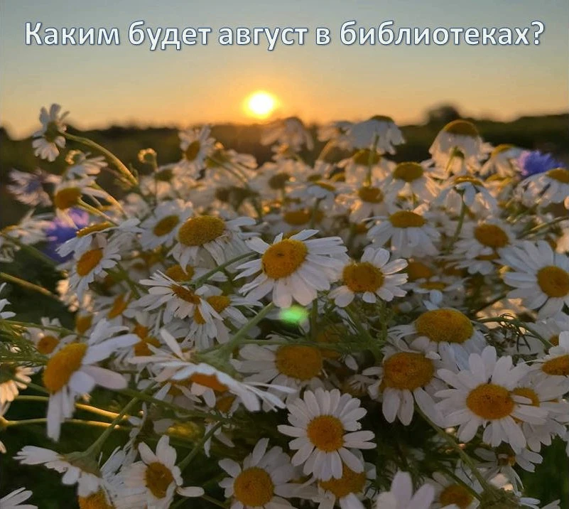 Друзья! Библиотеки Весьегонского муниципального округа подготовили для вас насыщенную п...