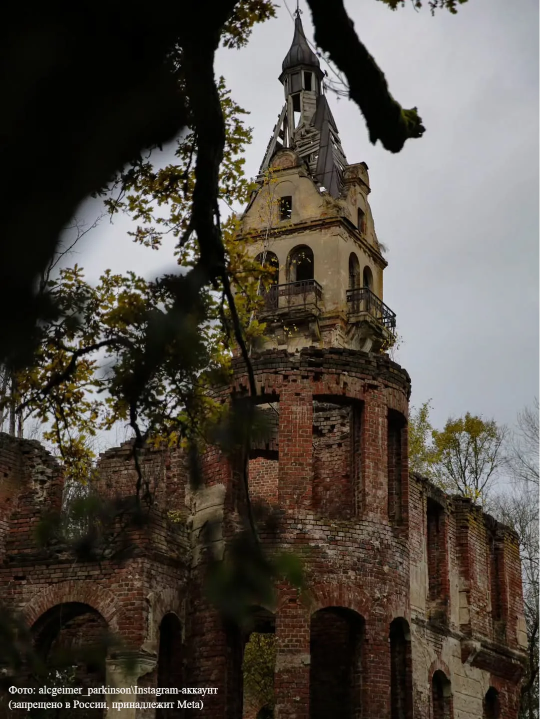 Замок Рапунцель в Новгородской области 🏰  Так его прозвали из-за башенки, которая до сих пор виднеет