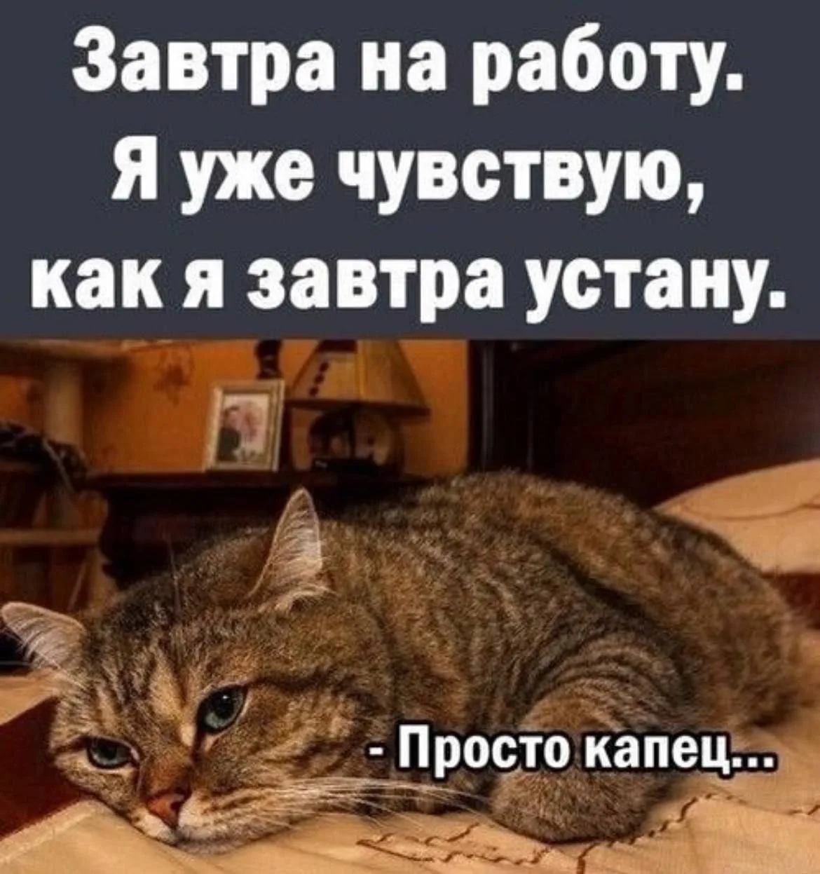 Помогите кто нибудь😁

👉 Ёжка - Подписаться