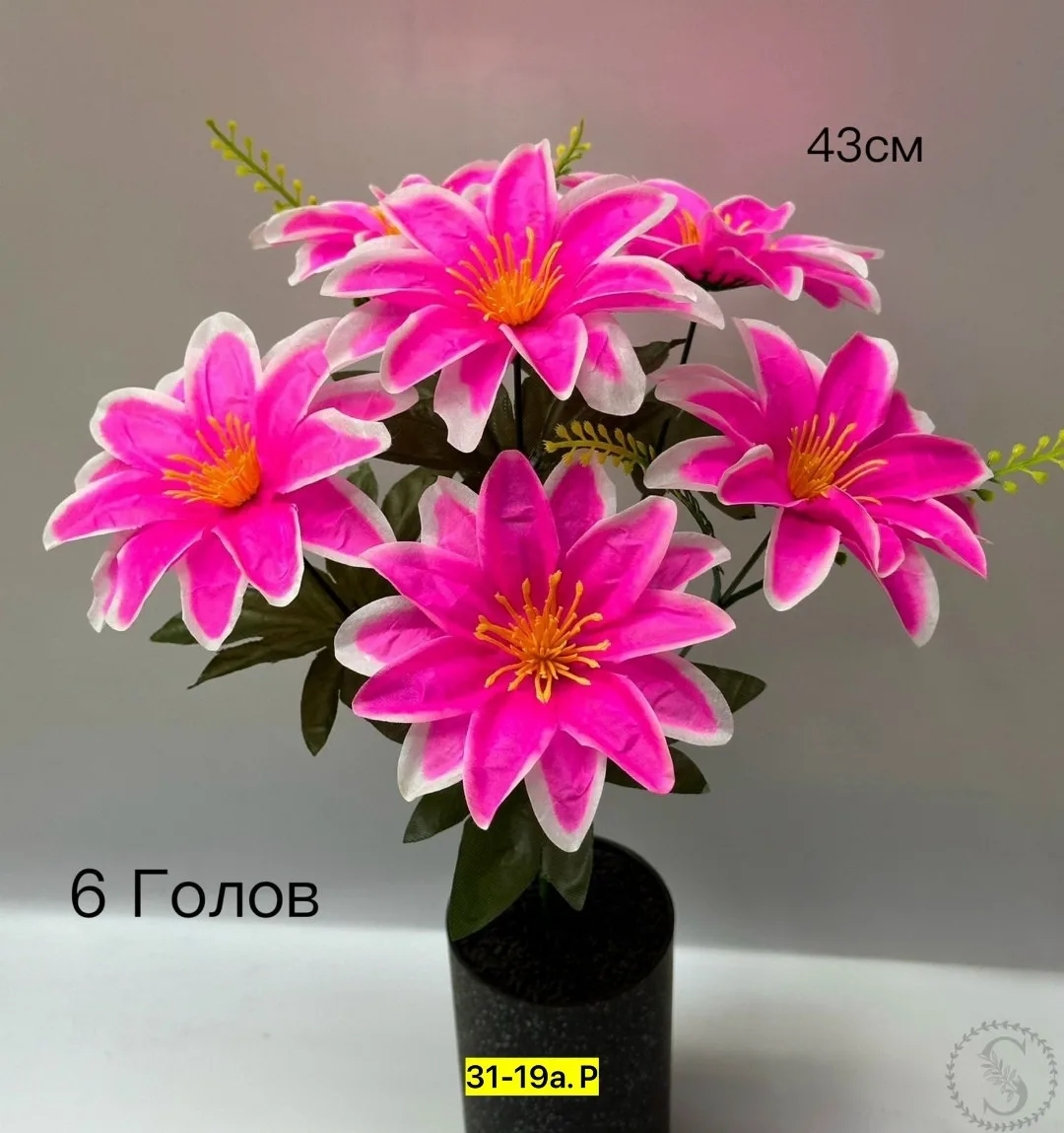https://vk.com/photo-184814919_493305248