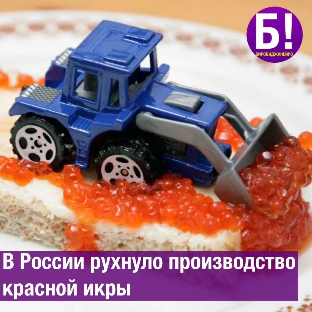 В России рухнуло производство красной икры 🥲