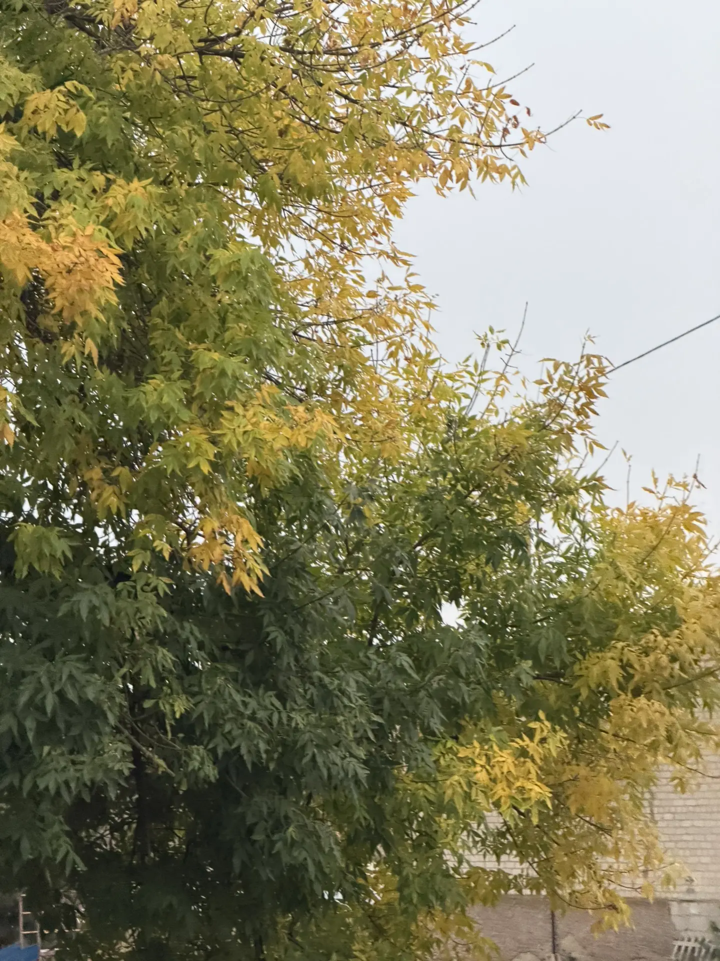 Доброе утро, уважаемые жители! 🌤️