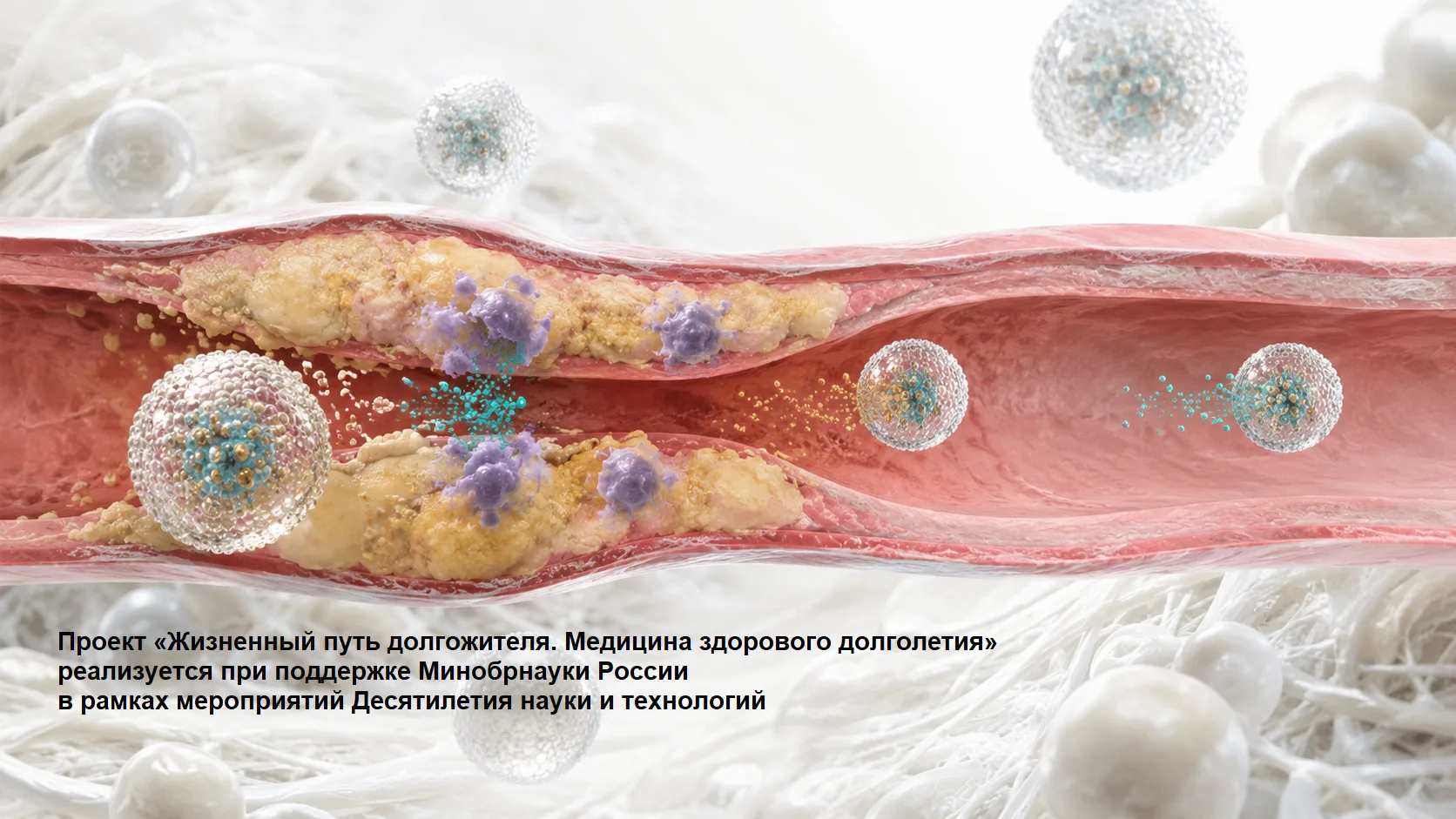 #новостинауки