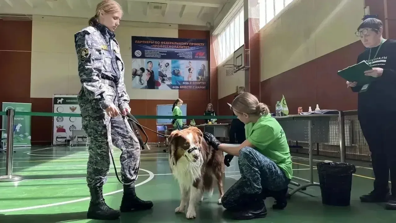Студентка белгородского колледжа победила в престижном конкурсе кинологов  Анастасия Донченко, студе