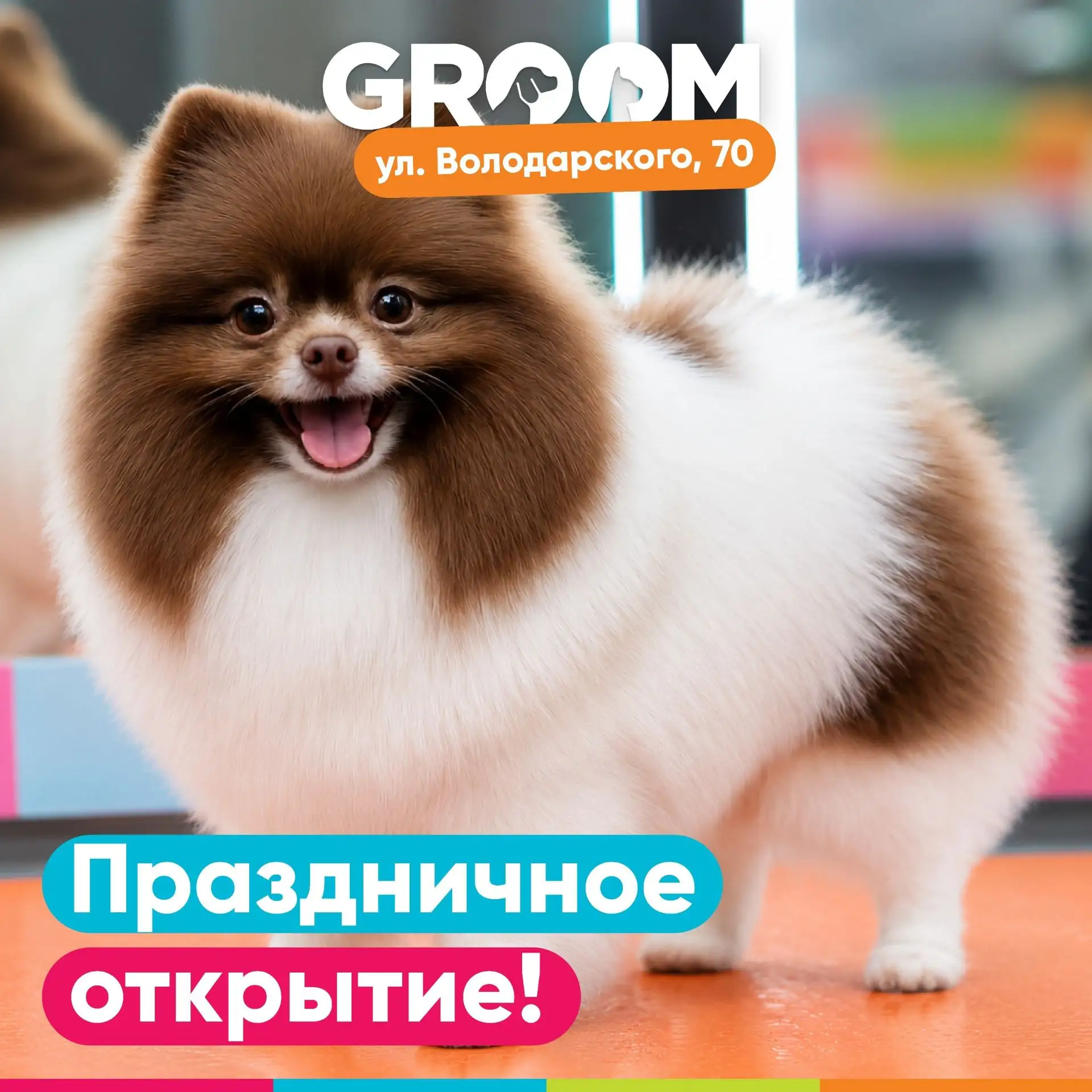 🐶🐱Праздничное открытие GROOM в Курске!