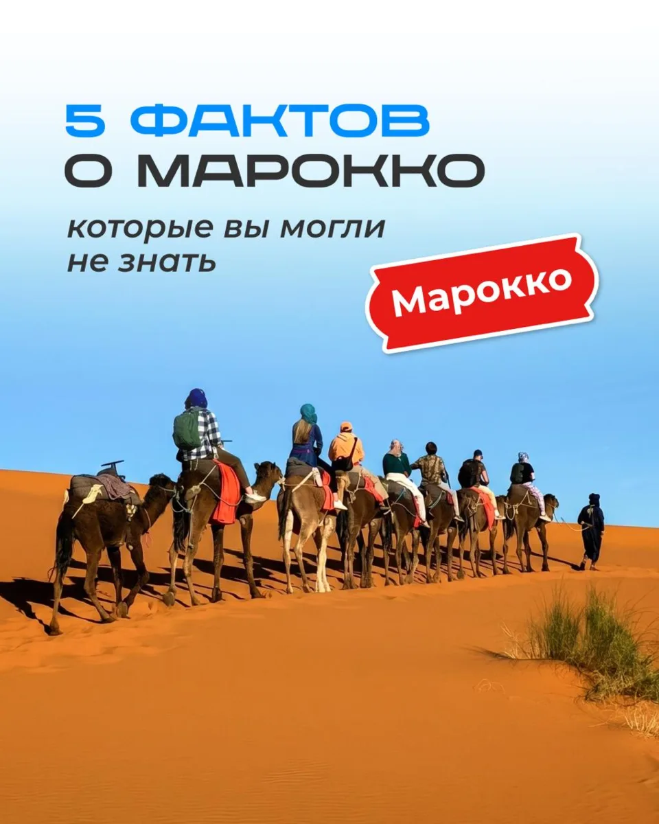 Привыкли думать, что Марокко — это только рынки пряностей, пустыня и жара? А как насчет древних океа