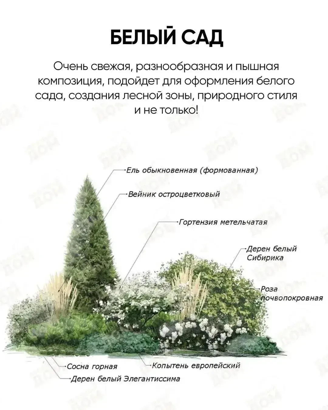 Свежая и интересная композиция для вашего сада