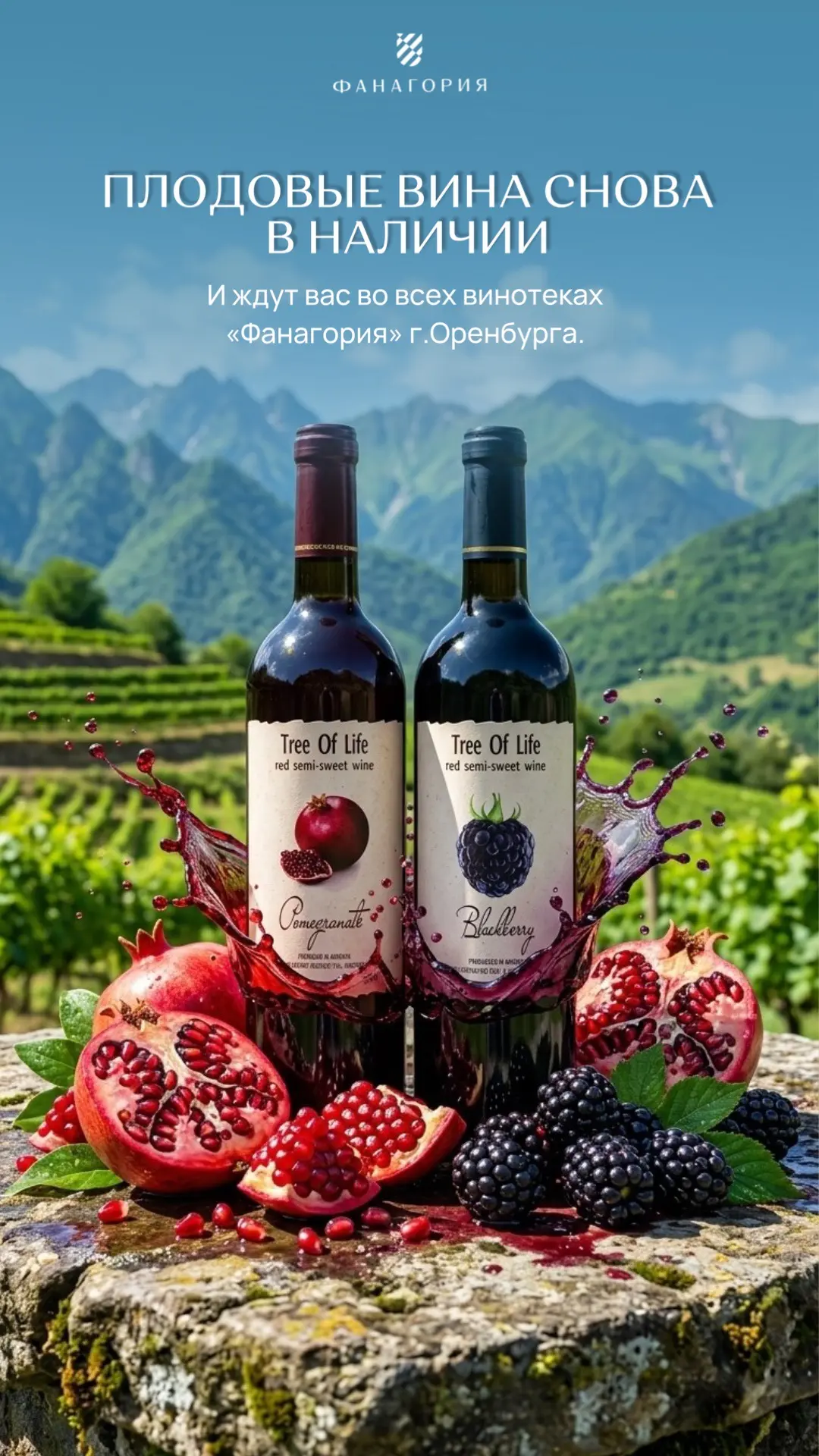 🍇 Плодовые вина снова в наличии!

Для тех, кто ждал — в винотеках «Фанагория» Оренбурга вновь появи