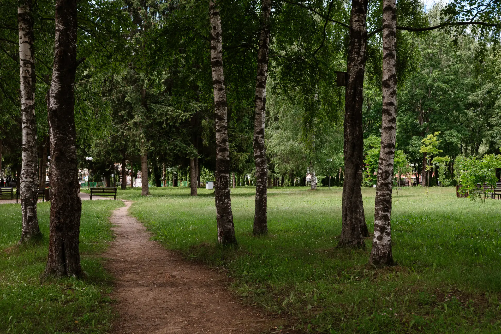 С добрым воскресеньем! 🌞

Пусть этот день будет активным и ярким, ведь на дворе — лето! Наслаждайте
