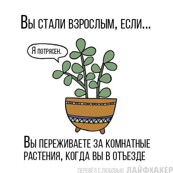 Немного юмора.