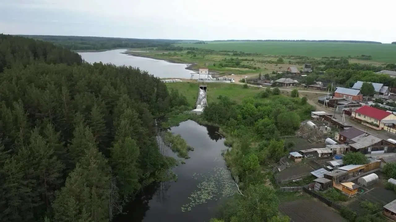 🔴В Свердловской области рыба выжила, в Тюменской — массово погибла