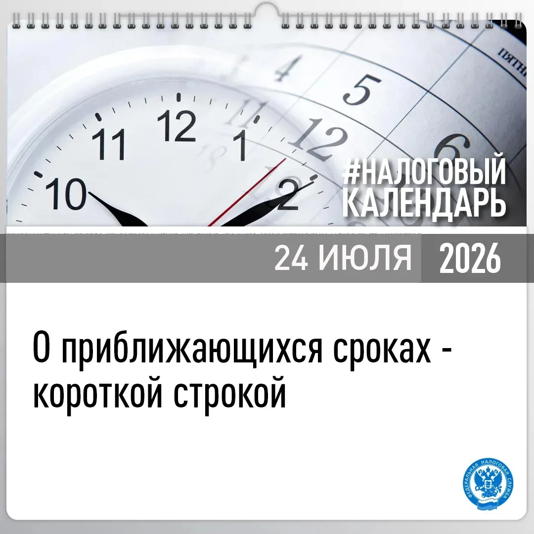 Не позднее 27 июля 2026 года (25 число совпадает с выходным днем) налогоплательщики обязаны представ
