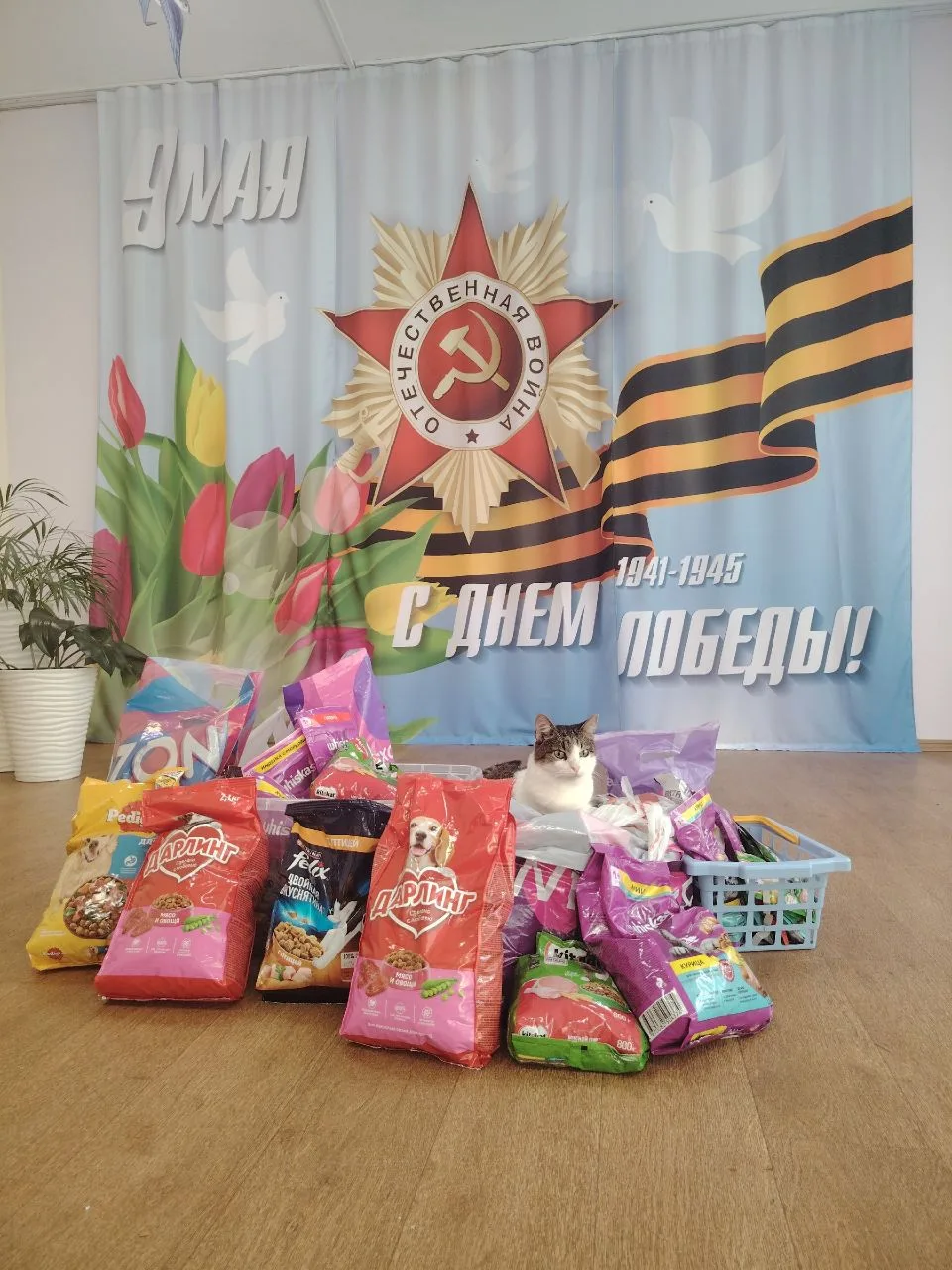 🐱 В НАШЕМ САДУ ПРОШЁЛ УРОК ДОБРОТЫ! 🐶

Дорогие родители и коллеги!

Сегодня к ребятам нашего детск