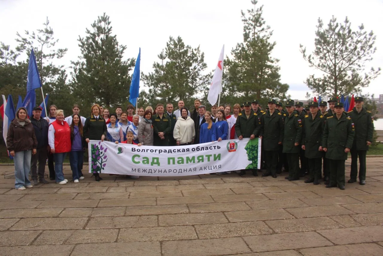 Сегодня  в нашем городе в Парке Победы высадили уникальный саженец — «Тополь Победы», выращенный вол