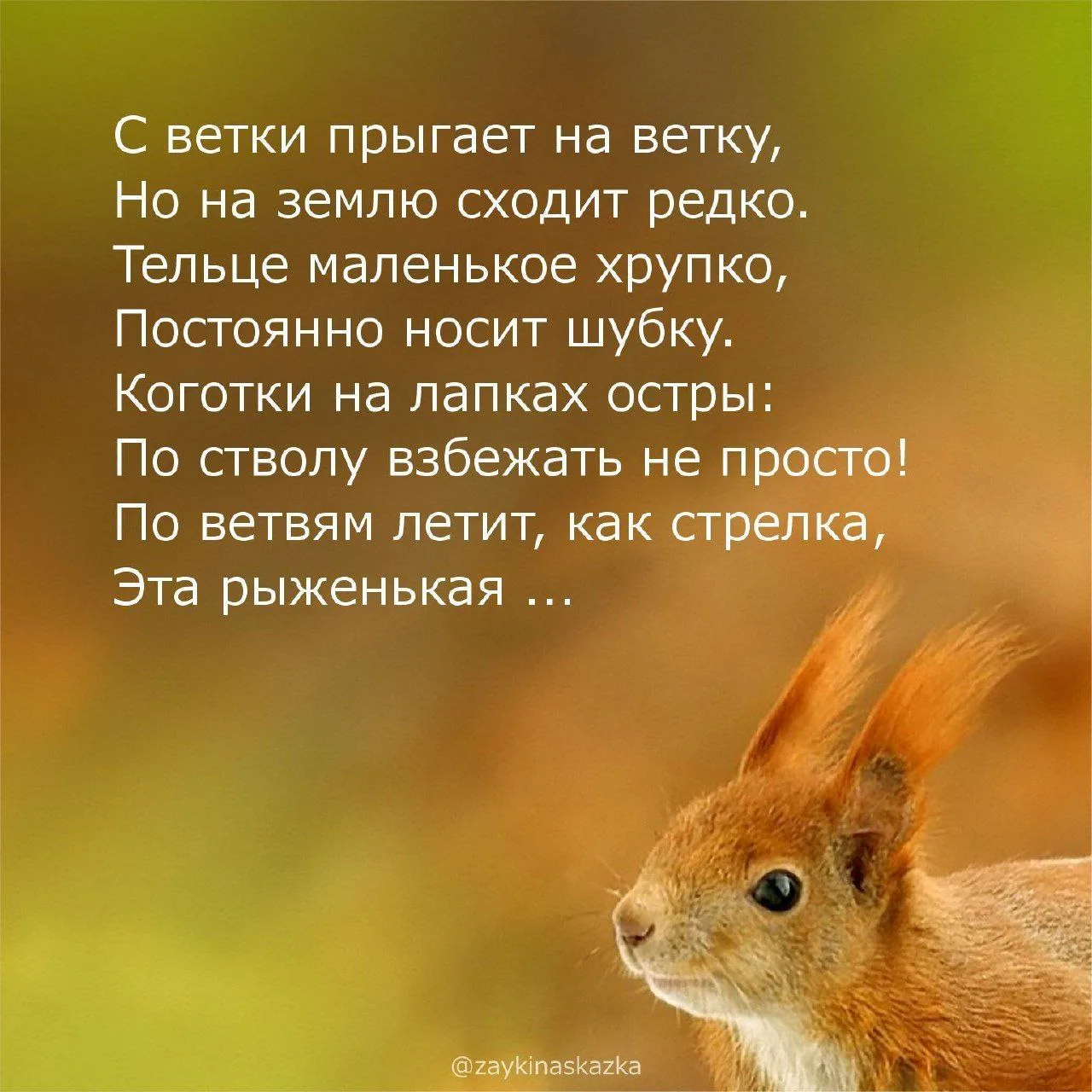 Загадки о животных 🦊
