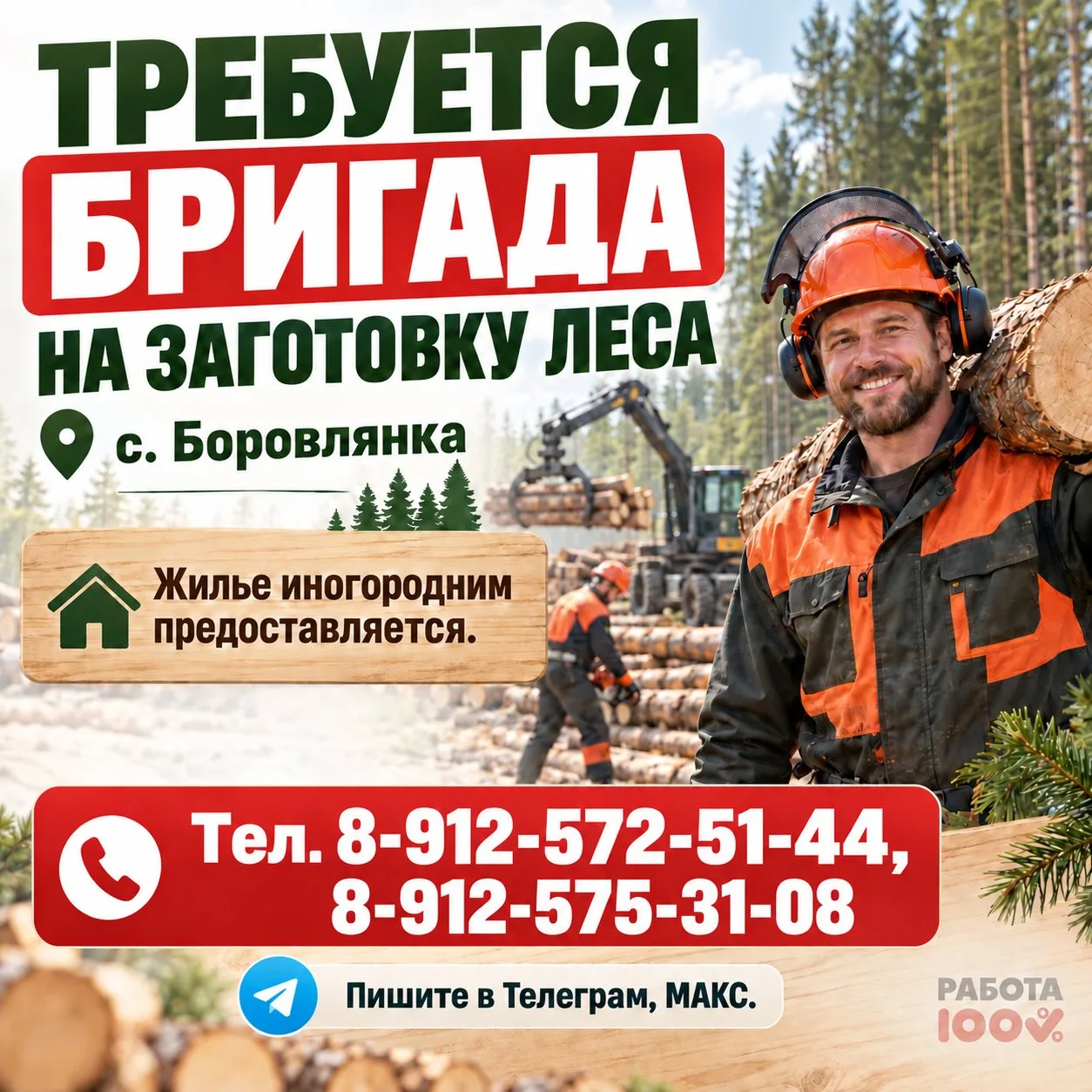 🌲 ТРЕБУЕТСЯ БРИГАДА НА ЗАГОТОВКУ ЛЕСА!
