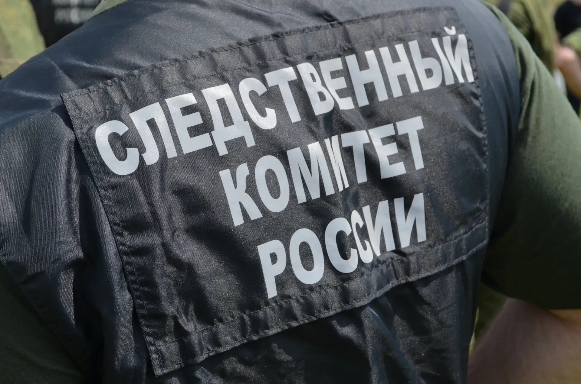 Житель Красноярского края предстанет перед судом по обвинению в участии в противоправно...