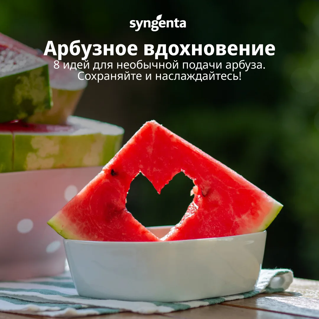 #Syngenta_полезное #арбуз