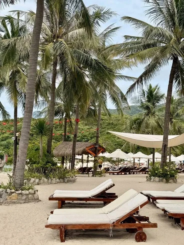 🌴 Чемодан собран? Если нет, срочно собирайте — Нячанг зовет! 🇻🇳✈️