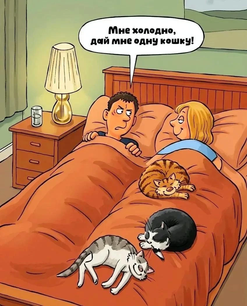 Милые открытки 😊 подписаться