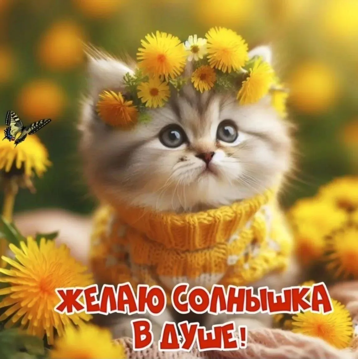 Доброе утрышко ☀, Пчёлки 🐝. Как вы там? 😁, сегодня возвращаюсь домой, нагостилась, пр...