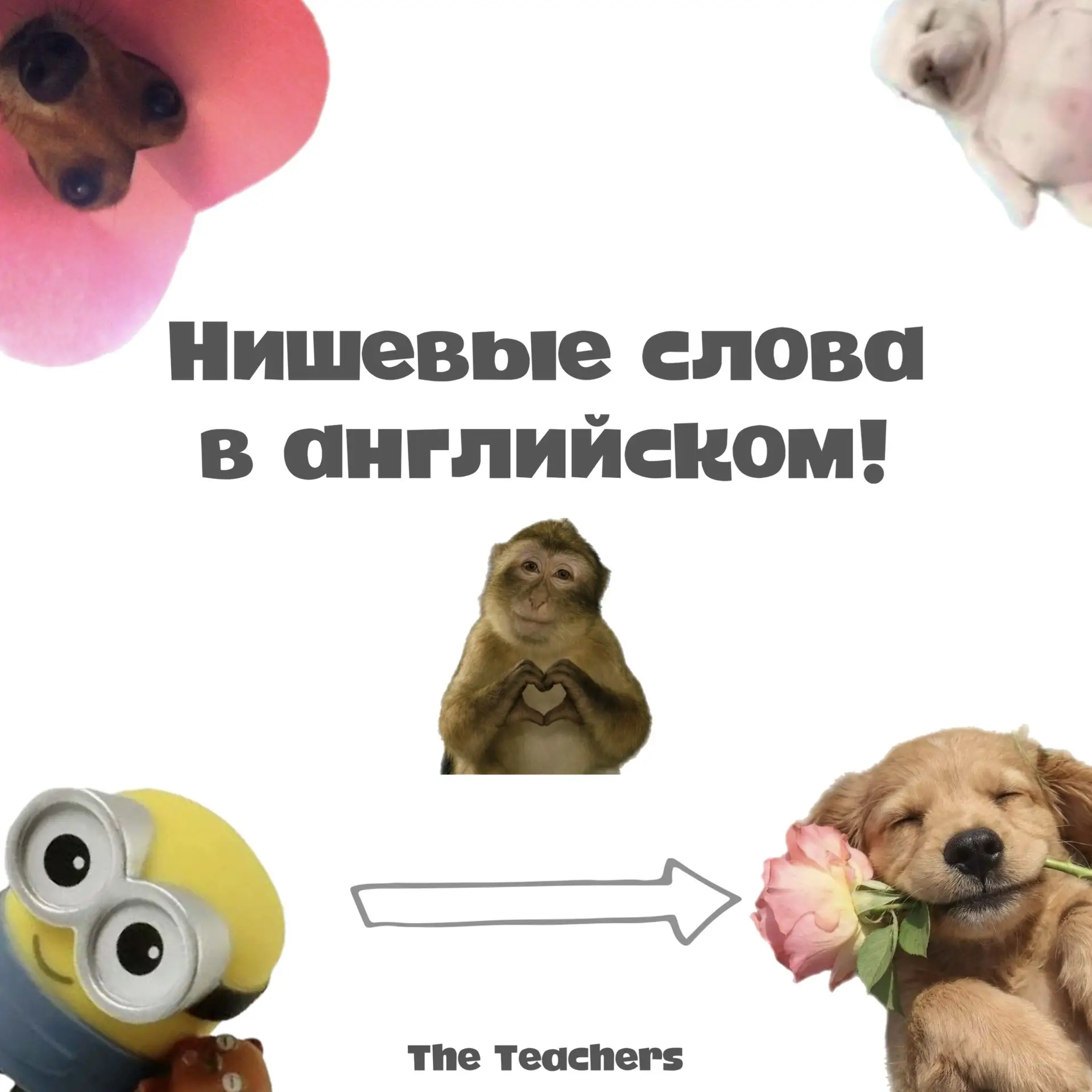 Сегодня делимся с вами подборкой нишевых фраз! 🔥

Тут больше интересного про английский 🫶
