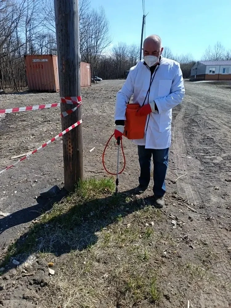 🪲 КЛЕЩИ ЛАГЕРЮ НЕ СТРАШНЫ!