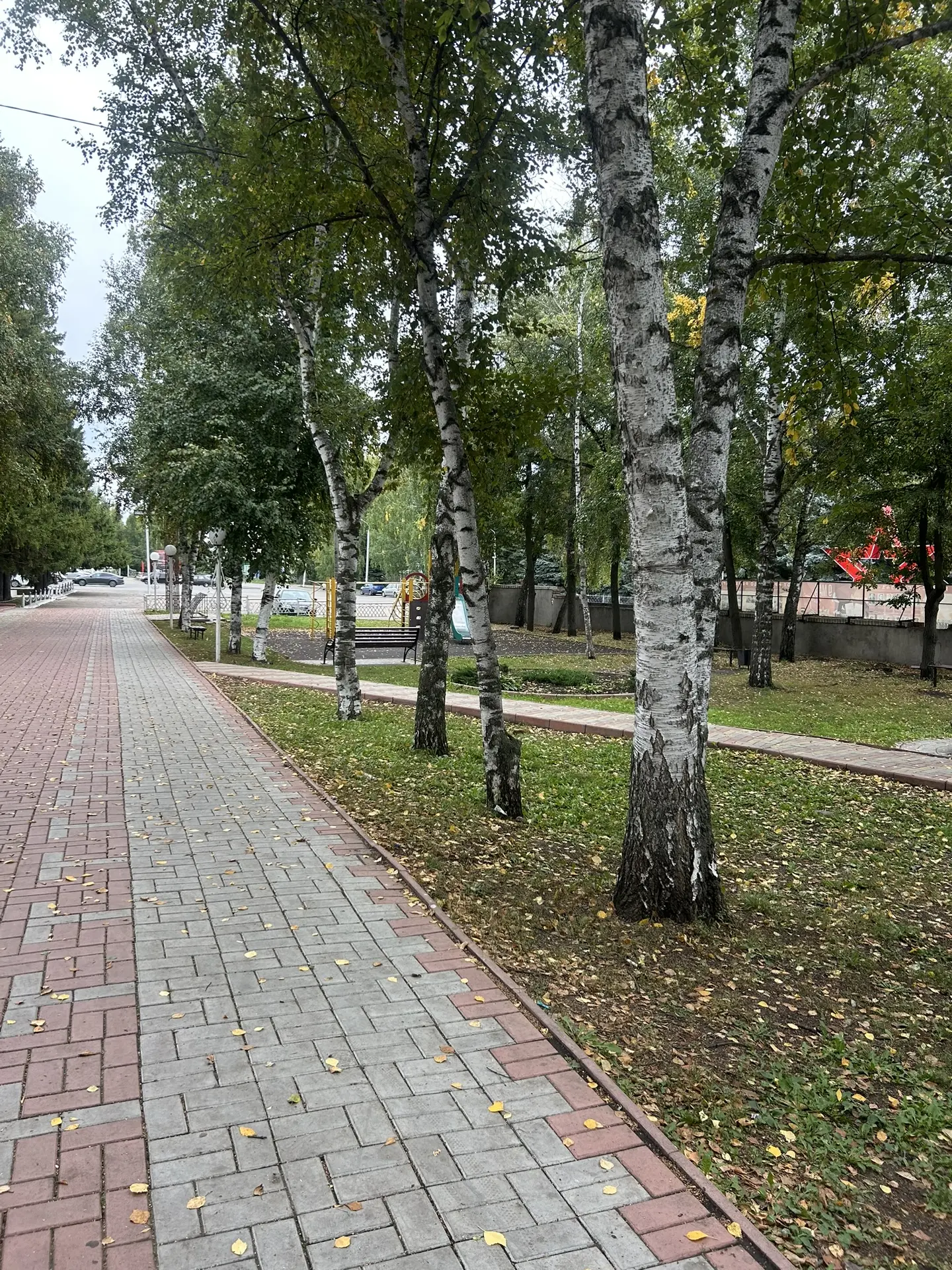 Теплого осеннего вторника, Цильнинский район!